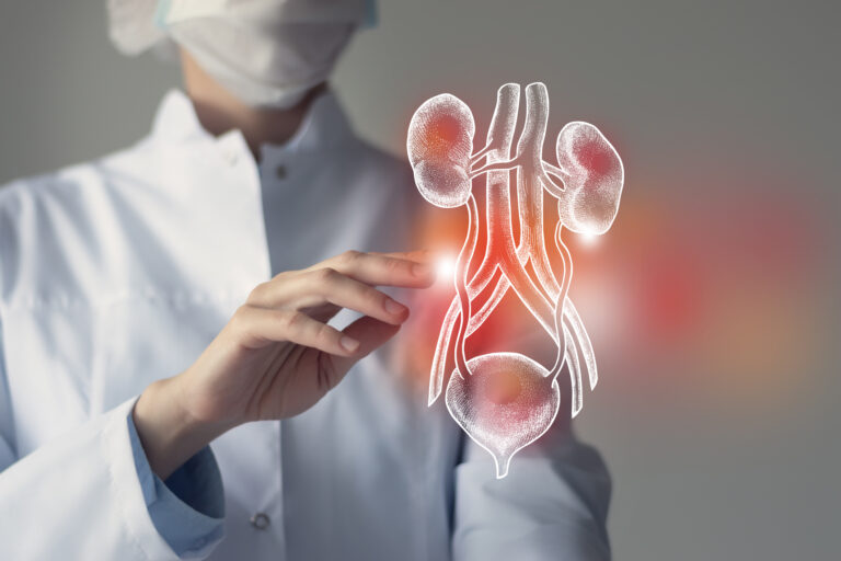 Doctor pointing at a diagram of bladder and kidneys showing where a hernia is located.